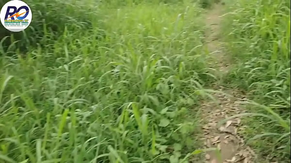 Fast time, Bhabhi called to fuck in the jungle, removed her saree and blouse and showed her pussy and boobs and inserted her dick in her ass from behind, Hindi audio, Claire Vaise
